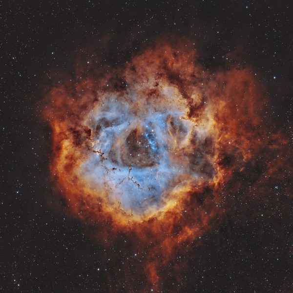 Rosette Nebula